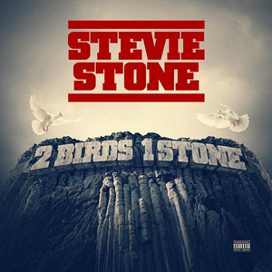 Stevie Stone - 2 Birds 1 Stone